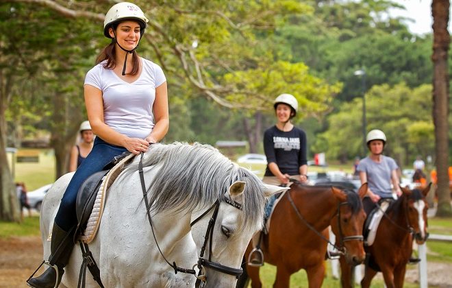 What to know before booking your first equestrian lesson?
