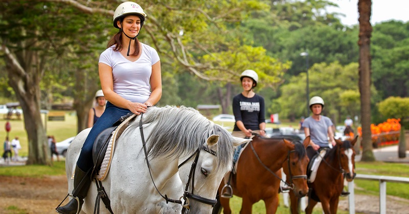 What to know before booking your first equestrian lesson?