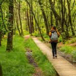 How to identify scenic trails perfect for nature observation and outdoor activities?