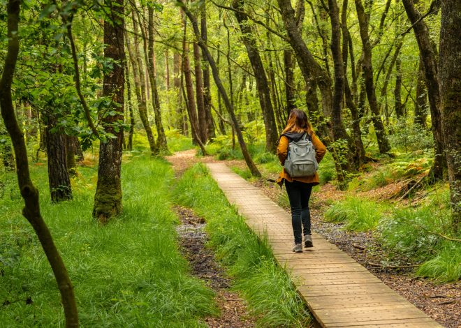 How to identify scenic trails perfect for nature observation and outdoor activities?