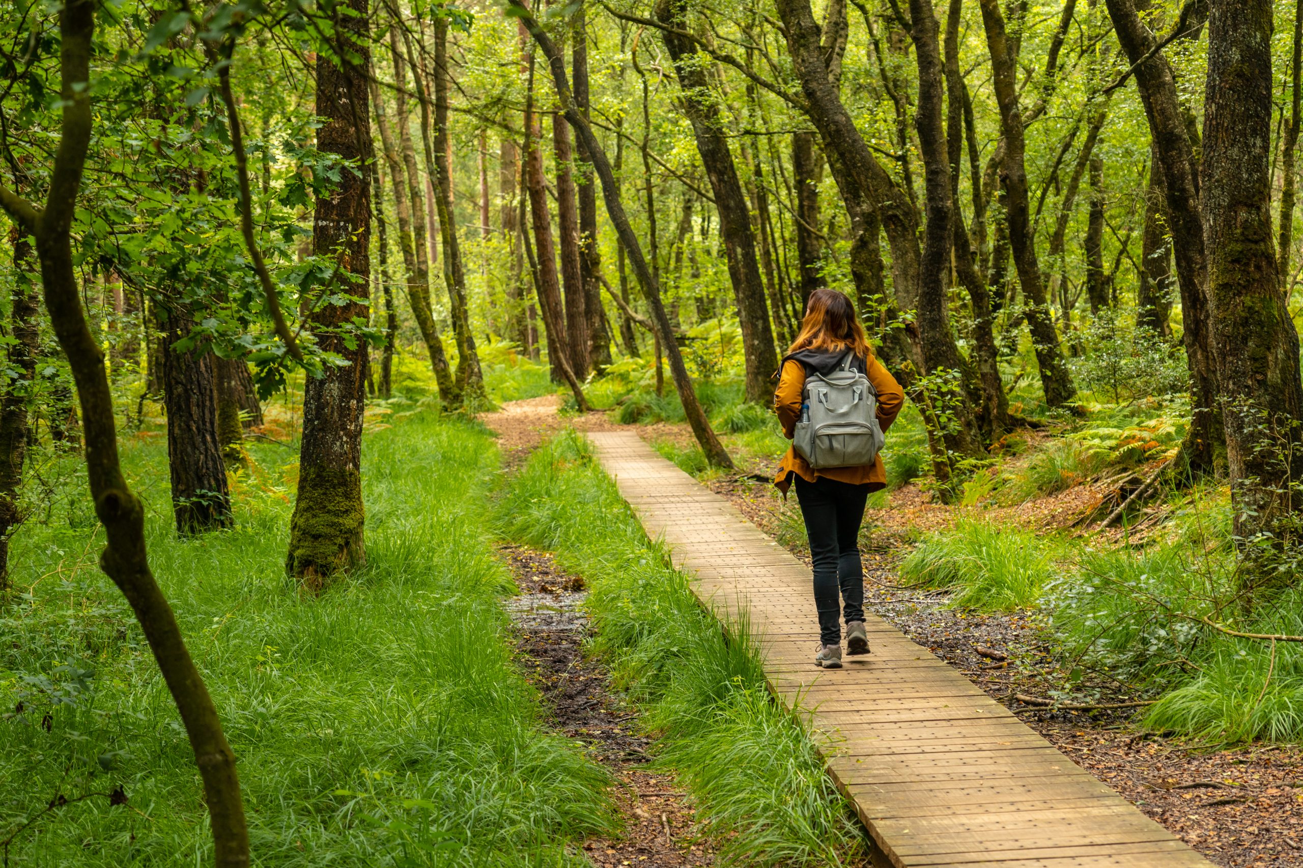 How to identify scenic trails perfect for nature observation and outdoor activities?