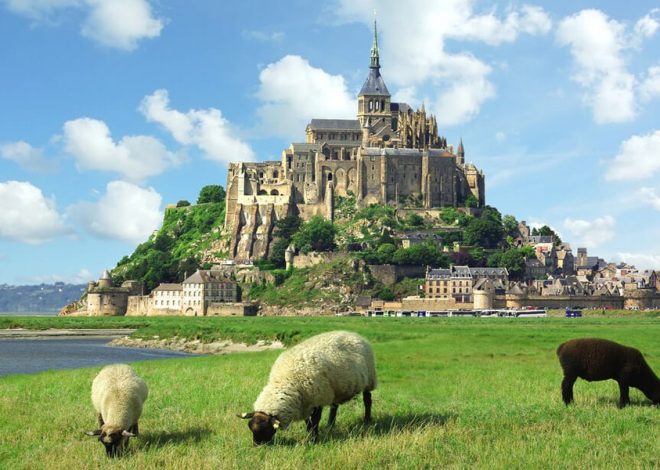 Best Day Trips from Paris: Escape the City Right