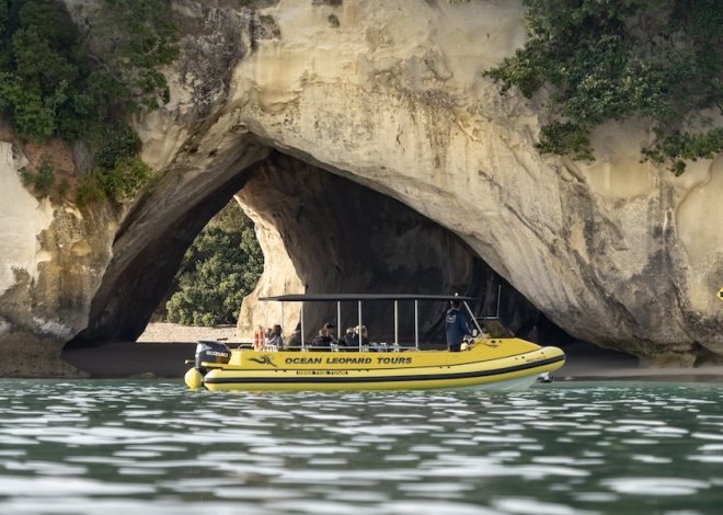 From Dock to Horizon: A Smarter Way to See South Florida