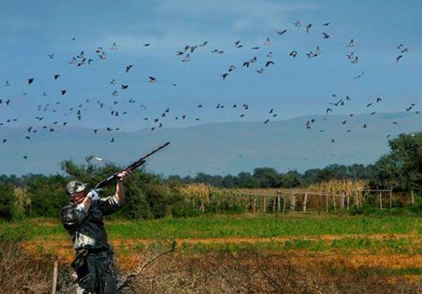 Why Argentina Dove Hunting Is Every Sportsman’s Dream